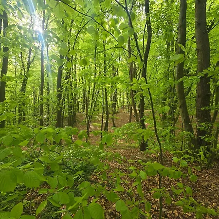 Lesna Oaza 3 Pokoje-65m Apartamento *